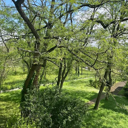 Apartment Charm Of Barry Gardens- Private Parking *